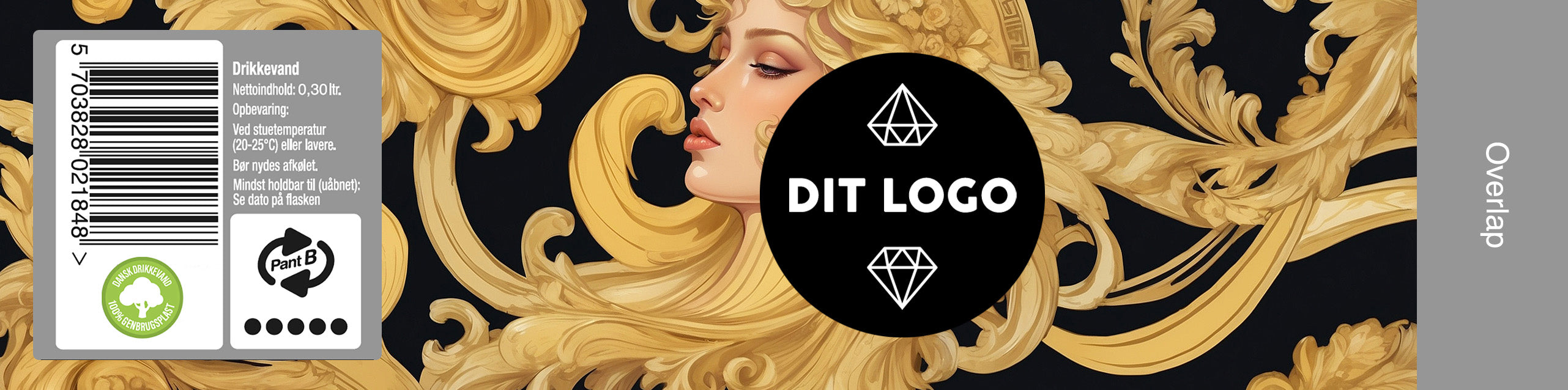 3000 Logo Flasker